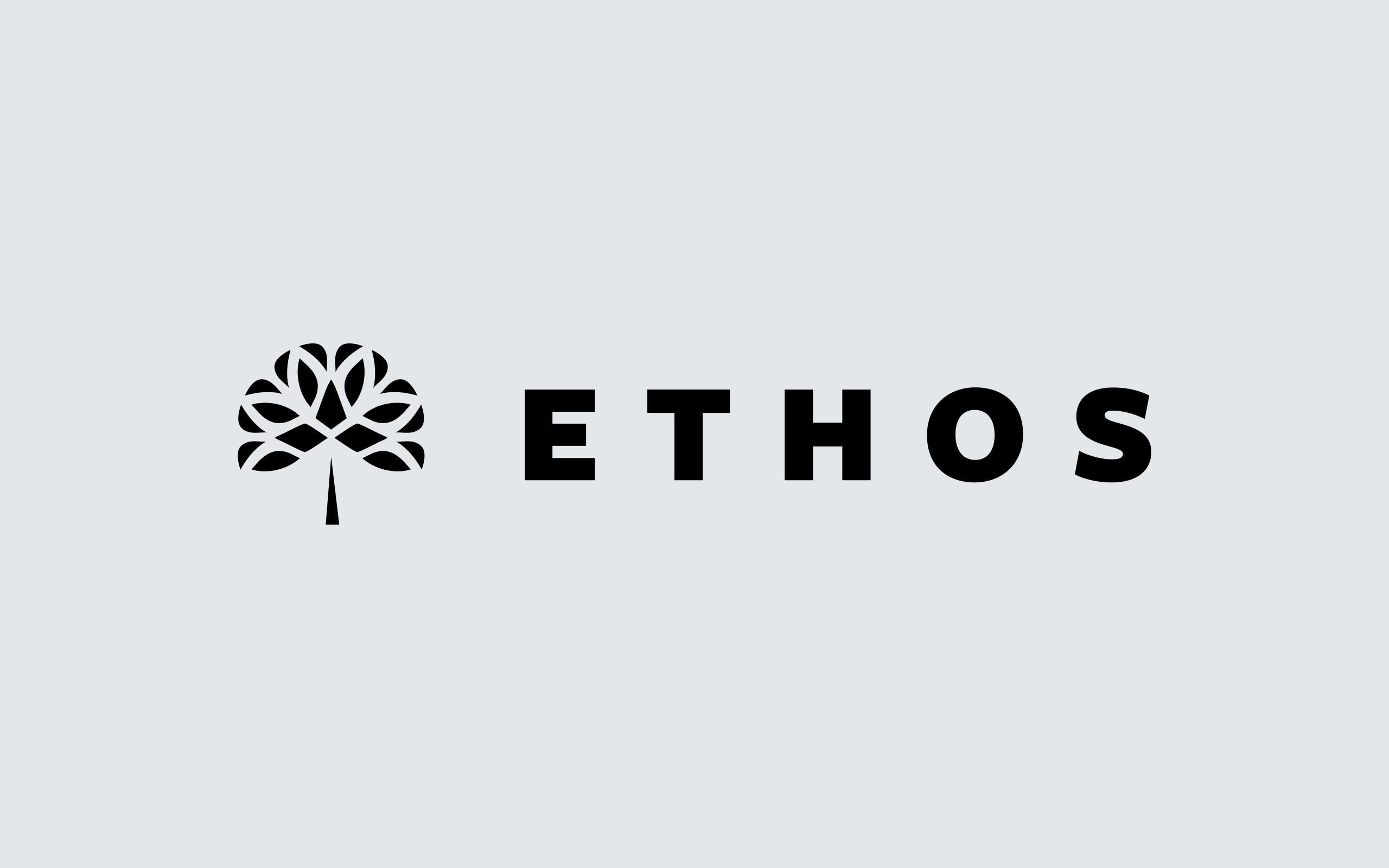 Ethos Construction Logo | Zeke Creative